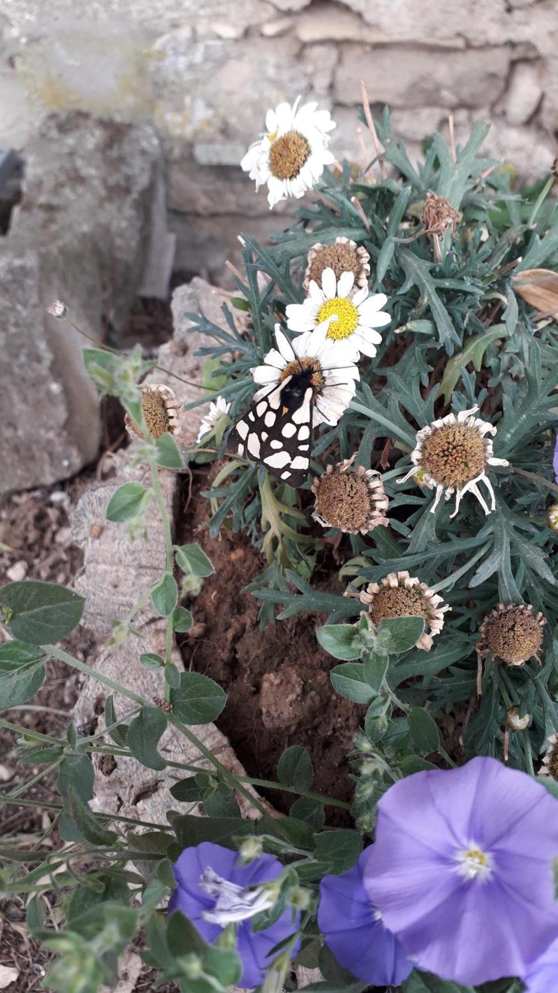 Le Mas Du Lac Uzès Dış mekan fotoğraf